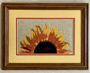 Photograph of product.